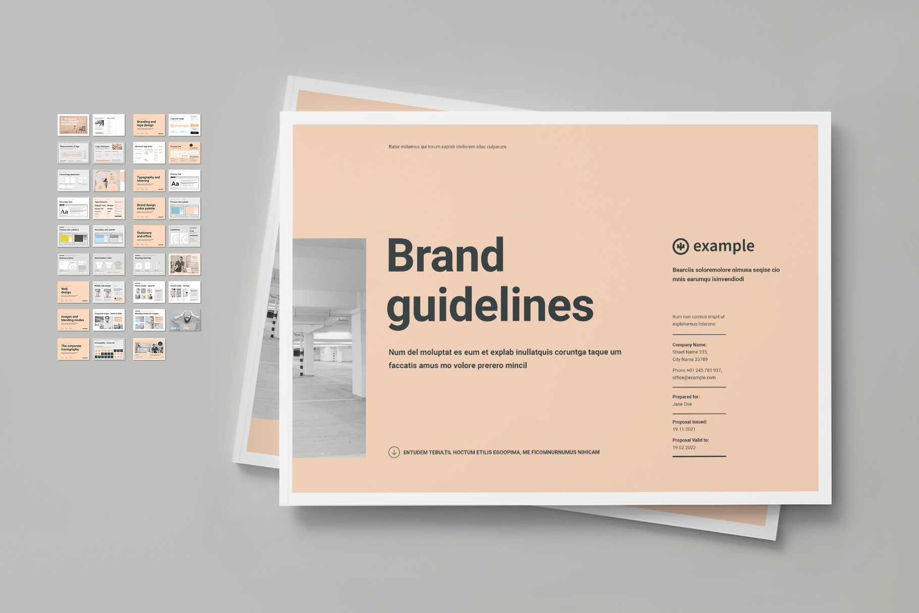 Brand Book by Typoedition  Creative Market