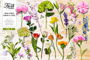 Fresh & Dried Floral Flay Lay Vol 2, a Product Mockup by Eclectic Anthology (Thumbnail 2 of 7)