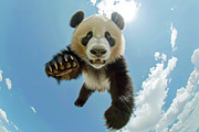 65 Jumping animals, an Animal Photo by Handmadefont (Thumbnail 7 of 13)