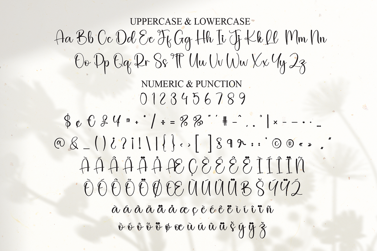 Wildflower | Script Font, a Handwritten Font by Scratchones (Photo 7 of 8)