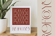 Qasnors Modern Display Serif, a Serif Font by timelesstype.co (Thumbnail 9 of 20)