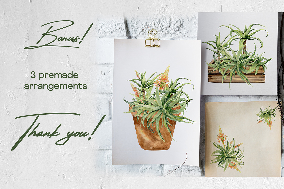 Aloe Watercolor Collection, a Decorative Illustration by WatercolorElena (Photo 11 of 11)