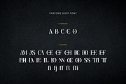 Pastone - Elegant Serif Font, a Serif Font by Creavibes Design (Thumbnail 17 of 18)