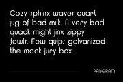 Rigden - Display, a Sans Serif Font by Webhance Studio (Thumbnail 5 of 10)