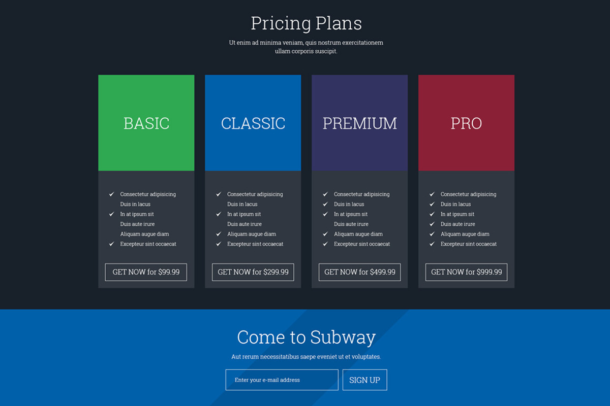 SUBWAY - One Page Wordpress Theme, a WordPress Template by www.ThemeStreet.Net (Photo 4 of 4)