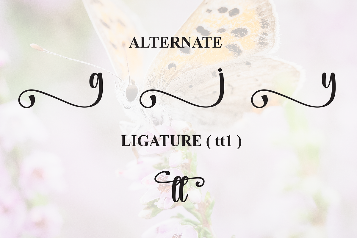 Butterfly | Script Font, a Handwritten Font by Scratchones (Photo 8 of 9)