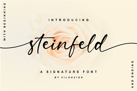 Steinfeld a Handwritten Font