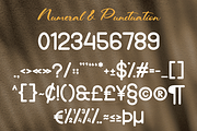 Rosterword - Handmade Typeface, a Script Font by MaikoHatta (Thumbnail 8 of 9)
