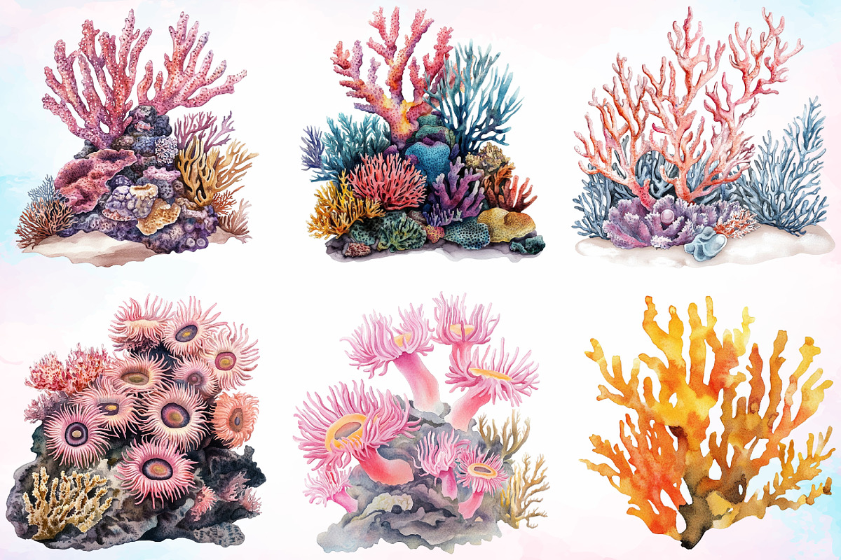 Watercolor Coral Reef Clipart Bundle, an Illustration by Canvas Craft (Photo 4 of 4)