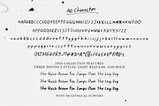 Tacky Journal - Handwritten Notes, a Handwritten Font by Bale Type (Thumbnail 12 of 12)