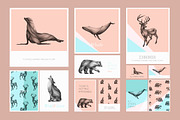 Illustration of animals 01, an Animal Illustration by Isbela  (Thumbnail 5 of 5)