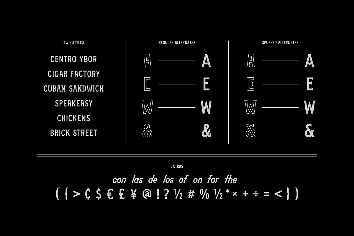 Vicente Font Family, a Font by Stable (Photo 4 of 10)