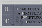 GC Troja Pro - Classic Retro Serif, a Serif Font by Glyphonic (Thumbnail 8 of 15)