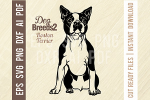 Boston Terrier - Sitting Dog SVG