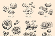 Hand Drawn Nuts set Vector, a Food Illustration by ON_lineart_store (Thumbnail 5 of 11)