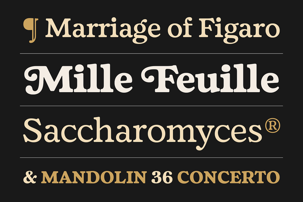 Fedro - 14 Fonts, a Serif Font by Nasir Udin (Photo 18 of 20)