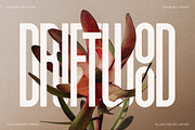 First Contact - 16 Fonts in One Pack, a Sans Serif Font by SilverStag Type Foundry (Thumbnail 5 of 30)