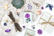 Watercolor violet roses and gems, a Decorative Illustration by NataliMiasStore (Thumbnail 5 of 5)