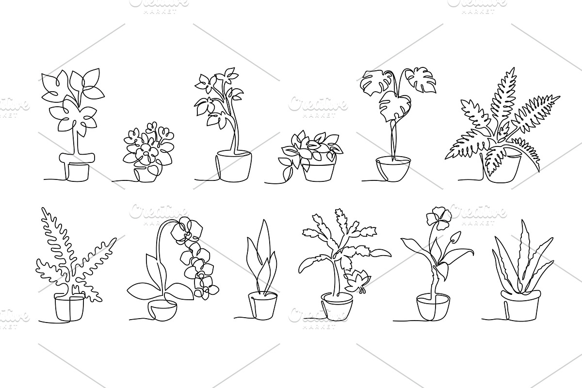 One continuous line potted plants, a Decorative Illustration by winwin.art
