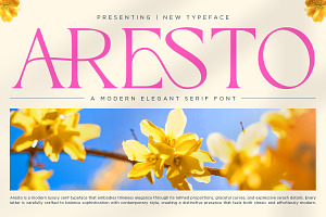 Aresto - Modern Elegant Serif Font