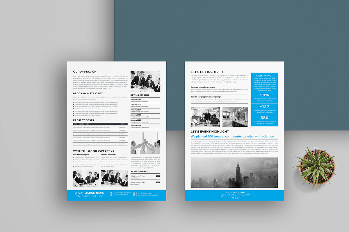 Nonprofit Organization Fact Sheet, a Flyer Template by obayes