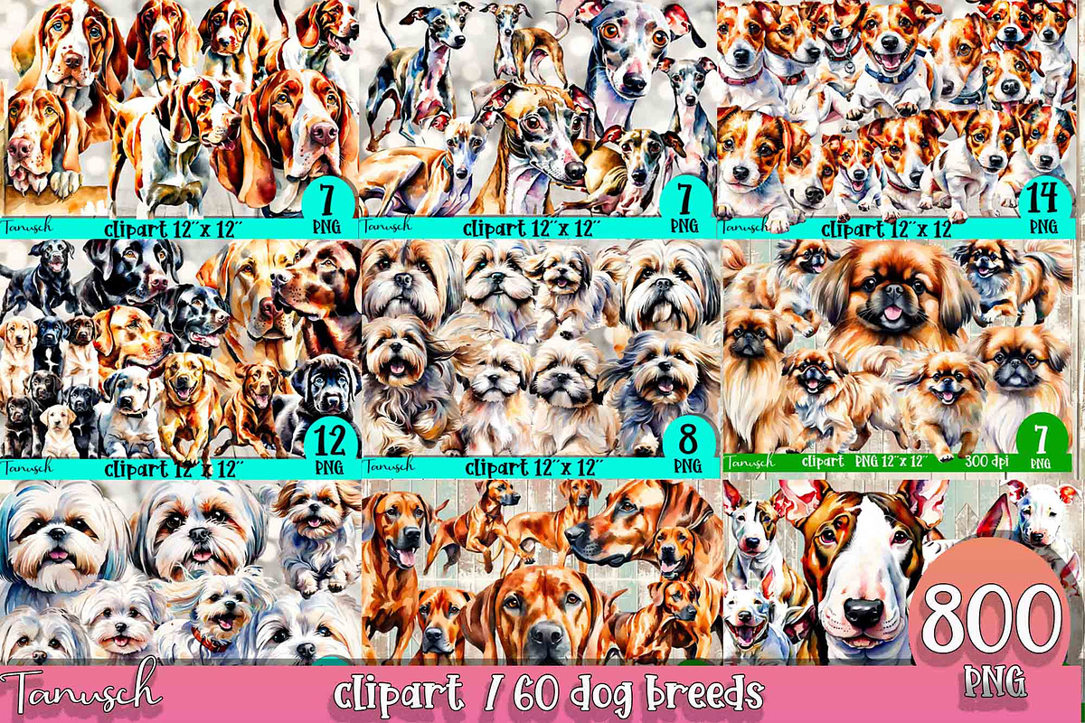watercolor dog breeds bundle, an Animal Illustration by TanuschArts (Photo 7 of 7)