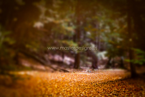 01 Fine Art Digital Texture/Backdrop