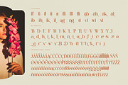 Achieve Fabrics Modern Serif, a Serif Font by timelesstype.co (Thumbnail 19 of 20)