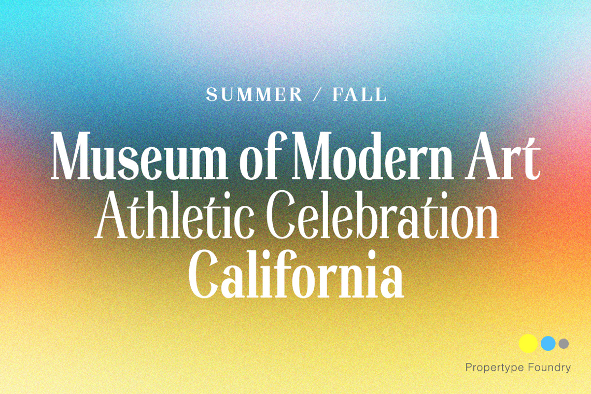 Adhesian Serif Font Family, a Serif Font by Propertype (Photo 4 of 12)