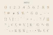 Aelyn - Ligature Serif Font, a Serif Font by Surplus Type Co (Thumbnail 5 of 12)