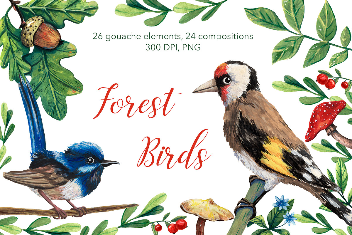 Forest Birds - Gouache Clipart Set, an Animal Illustration by Mashamashastu (Photo 1 of 11)