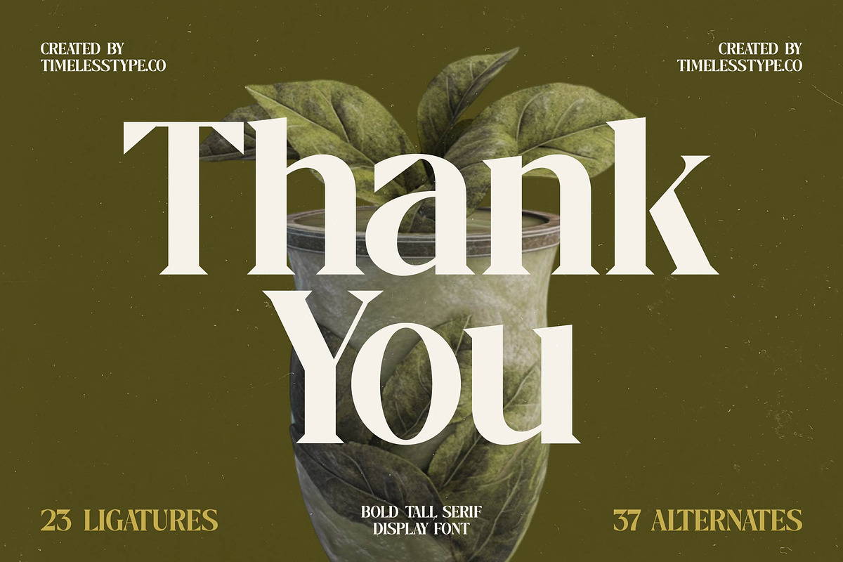 Mistical Spring - Modern Serif, a Serif Font by timelesstype.co (Photo 20 of 20)