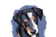 Puppies Dog Breeds Big Bundle 135Pcs, an Animal Illustration by Dneprstock (Thumbnail 47 of 68)