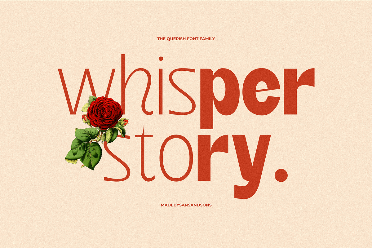 SNS - Querish, a Sans Serif Font by Sans & Sons (Photo 5 of 10)