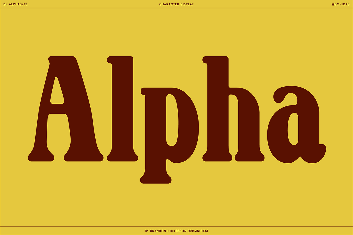BN Alphabyte, a Serif Font by Bnick (Photo 8 of 14)