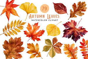 Watercolor Autumn Leaves Clipart