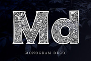 Monogram · 5 fonts · 20 frames, a Font by Red Ink (Thumbnail 5 of 14)