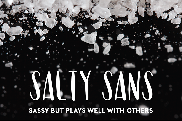 Salty Sans Typeface preview 6