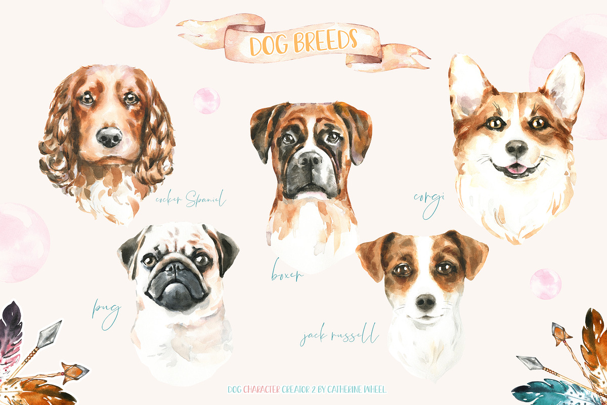 SALE Dog Character Creator Animal, an Animal Illustration by Catherine Wheel (Photo 10 of 14)