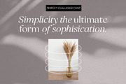 Perfect Challenge Serif Family, a Serif Font by Mulkan Nazir (Thumbnail 15 of 22)