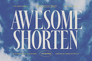 Awesome Shorten Tall Serif Display, a Serif Font by timelesstype.co (Thumbnail 1 of 20)