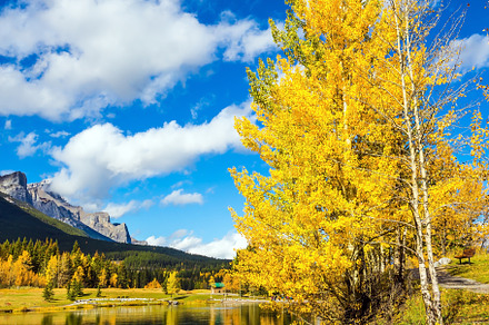 Yellowing aspens surround the lake, a Nature Photo by kavram