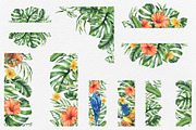 Parrots & tropical leaves watercolor, an Animal Illustration by NATASHA CHU (Thumbnail 11 of 21)