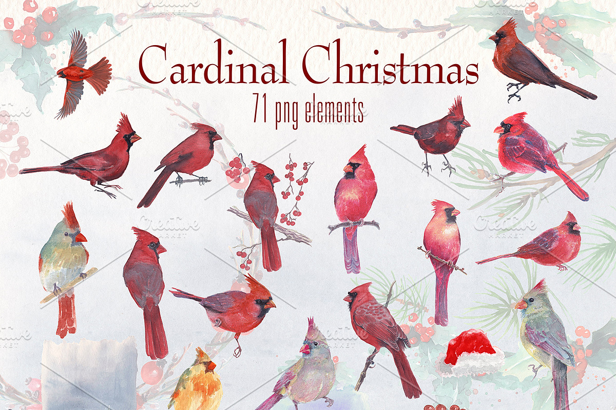cardinal christmas watercolor, a Decorative Illustration by Art & Things (Photo 4 of 11)