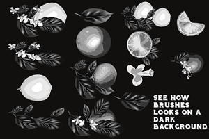 Set Of Flowers Brushes2