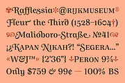 Allust Italic Font, a Serif Font by Halfmoon Type (Thumbnail 2 of 11)