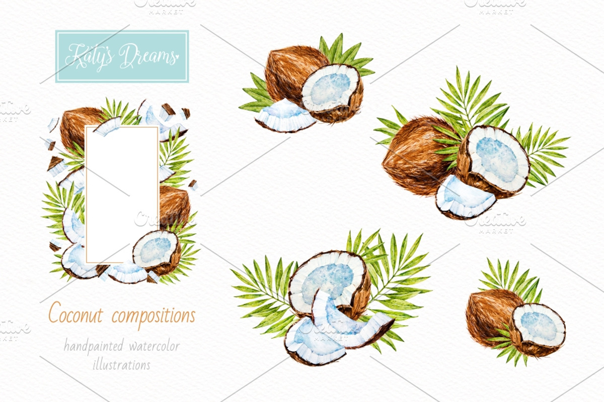 Coconut. Watercolor., a Decorative Illustration by Ekaterina Mikheeva (Photo 3 of 5)
