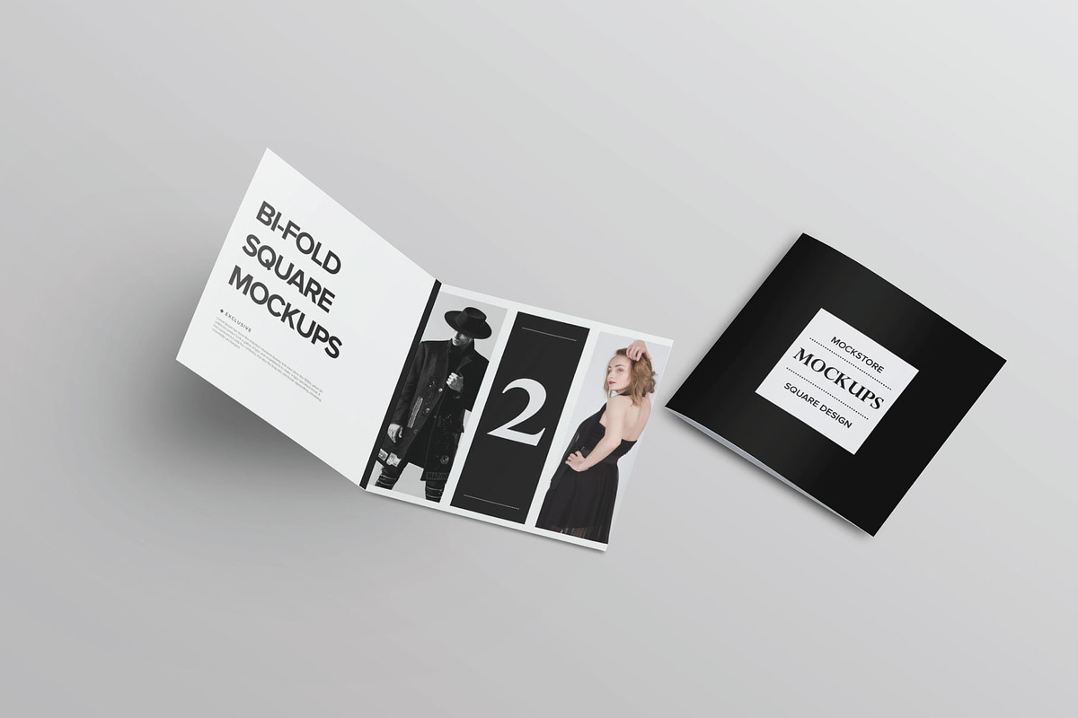 Bi-Fold Brochure Mockup 8 Style, a Print Template by Mockstore (Photo 5 of 18)