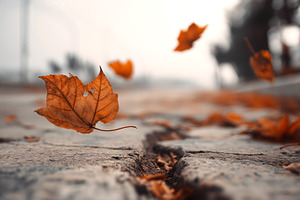 Autumn Leaves in Motion: Capturing the Serene Dance of Fall Foliage on a Cobble, a Nature Photo by Ocean Digital Art