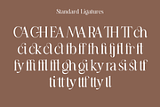 Casanova Elegant Serif Display, a Serif Font by Typetemp Studio (Thumbnail 28 of 30)